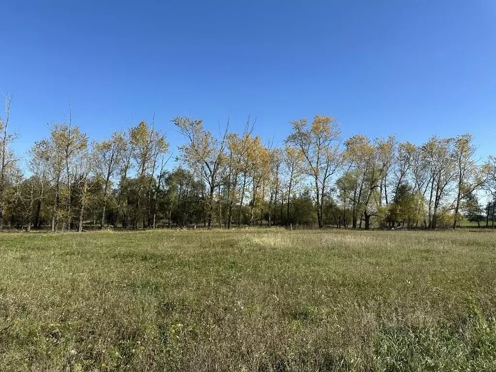 Участок в Московская область, Серебряные Пруды пгт ул. Октябрьская ... - Фото 2