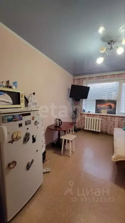 1-к кв. Тюменская область, Тюмень проезд Геологоразведчиков, 48 (16.5 ... - Фото 1