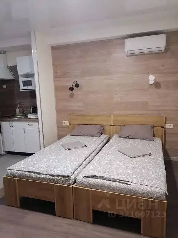 1-к кв. Самарская область, Самара ул. Льва Толстого, 14 (20.0 м) - Фото 1