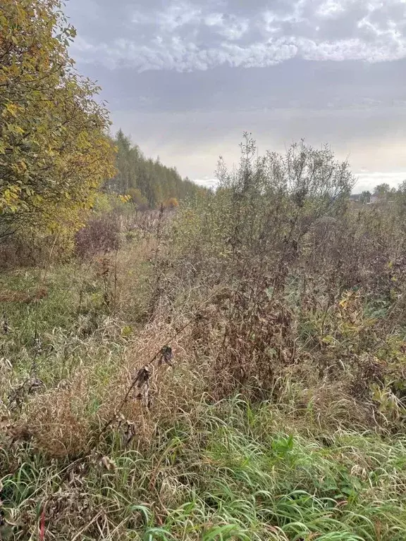 Участок в Московская область, Воскресенск городской округ, д. Губино ... - Фото 0