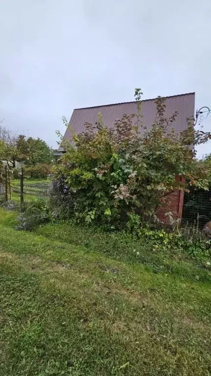 Участок в Московская область, Егорьевск Нечаевский садовое ... - Фото 2