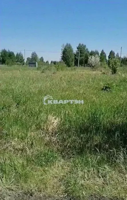 Участок в Новосибирская область, Новосибирский район, Кудряшовский ... - Фото 2