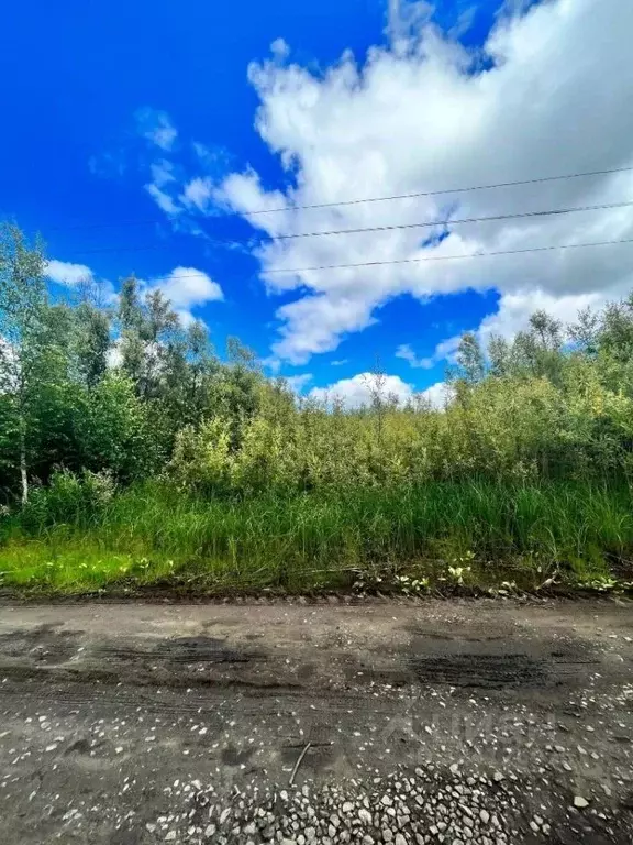 Участок в Ханты-Мансийский АО, Лангепас Рябинушка СНТ,  (10.8 сот.) - Фото 1