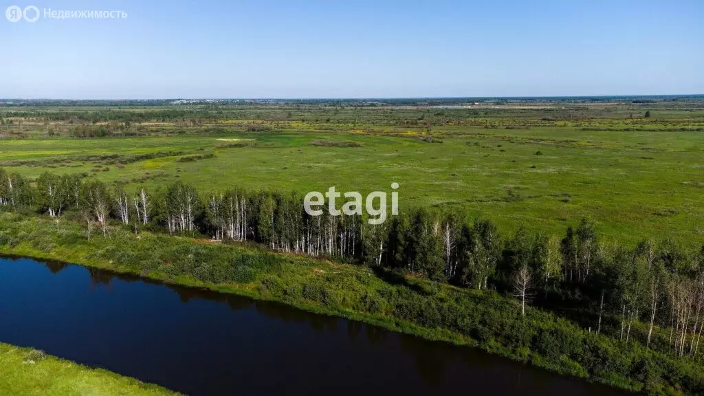 Участок в Тюменский район, село Борки (55.09 м) - Фото 0