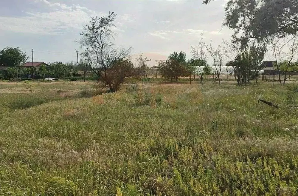 Участок в Крым, Сакский район, с. Митяево ул. Южная (10.0 сот.) - Фото 0