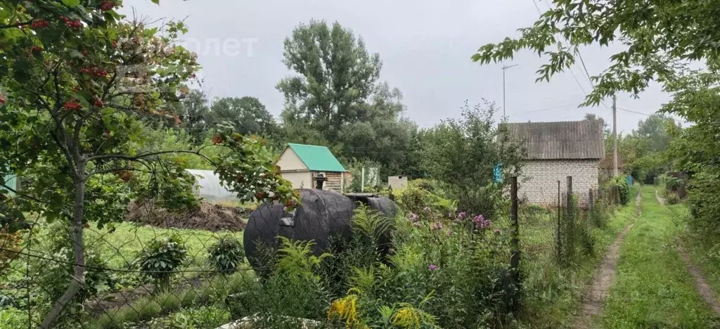 Дом в Башкортостан, Чишминский район, Алкинский сельсовет, Родник ... - Фото 2