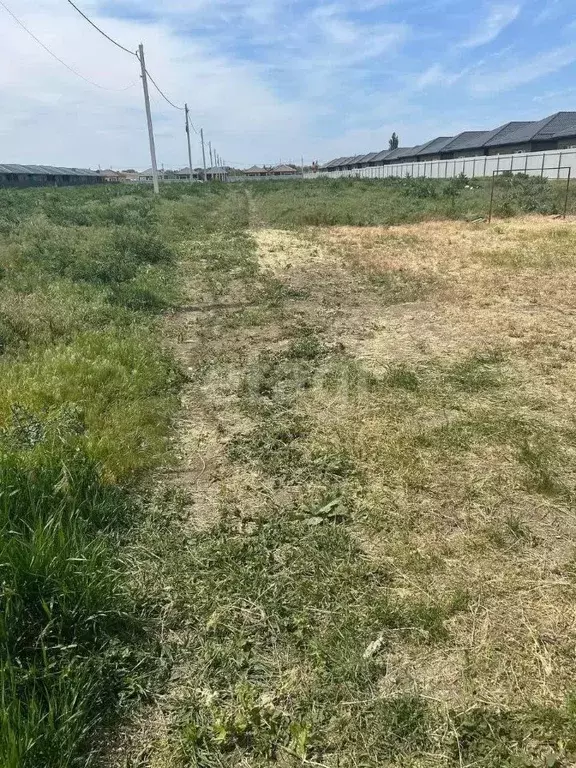 Участок в Ростовская область, Октябрьский район, пос. Персиановский  ... - Фото 1