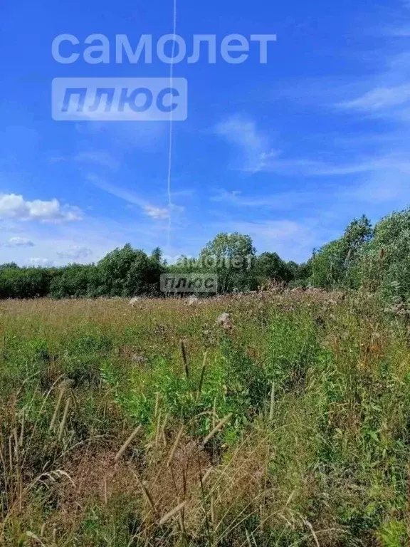 Участок в Вологодская область, Сокольский муниципальный округ, с. ... - Фото 1