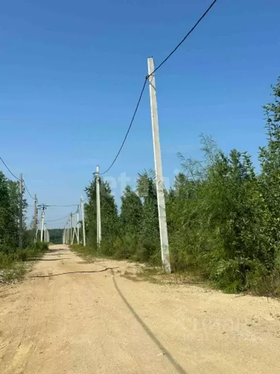 Участок в Амурская область, Благовещенский район, с. Чигири  (8.2 ... - Фото 0
