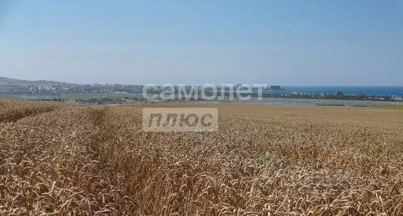 Участок в Краснодарский край, Анапа муниципальный округ, Красный хут. ... - Фото 1