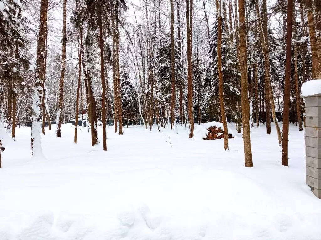 Участок в Московская область, Одинцовский городской округ, с. Ершово, ... - Фото 2