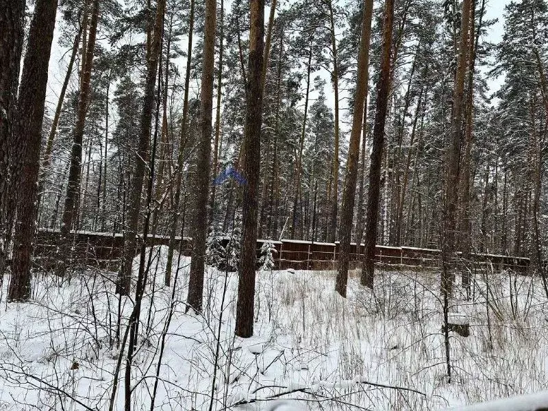 Участок в Татарстан, Лаишевский район, д. Матюшино 344 (10.0 сот.) - Фото 2