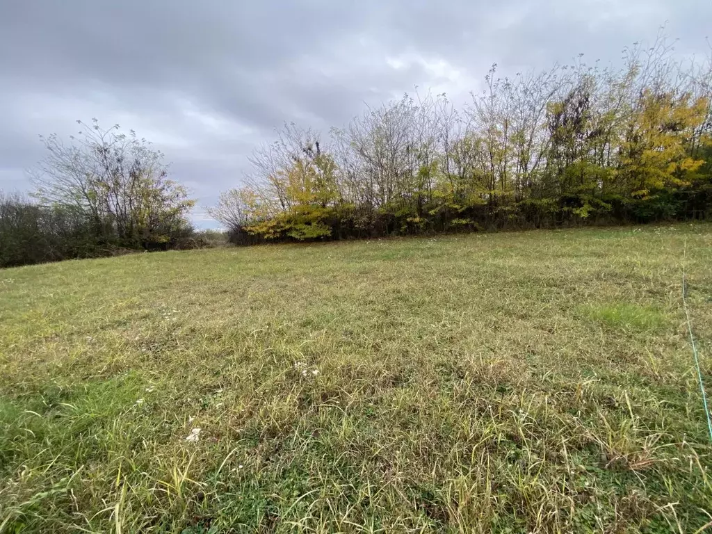 Участок в Краснодарский край, Успенский район, с. Вольное Зеленая ул., ... - Фото 1