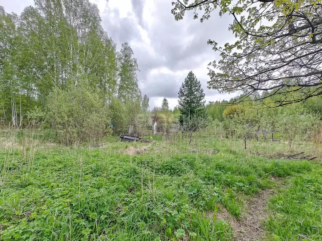 Участок в Новосибирская область, Новосибирск Ветеран СНТ, ул. Луговая ... - Фото 0