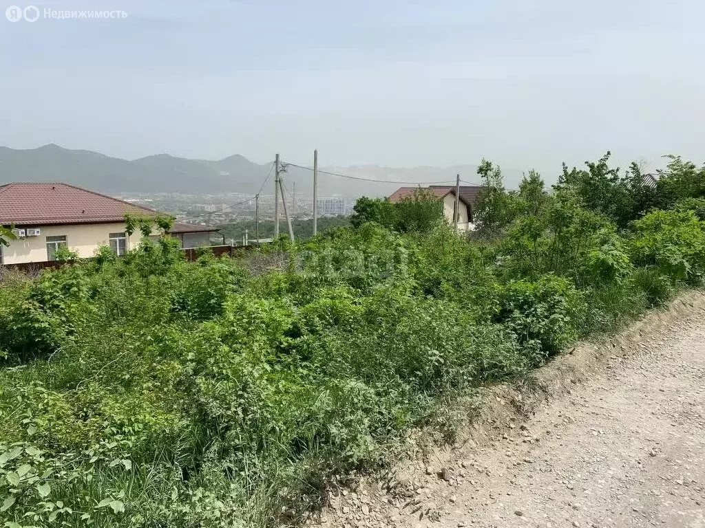 Участок в село Борисовка, СТ Приморское (5.6 м) - Фото 1