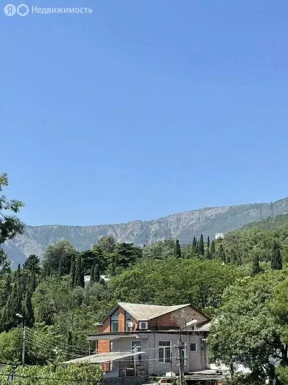 Участок в Ялта, улица Аверкина, 7А (5 м) - Фото 1