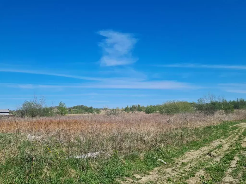 Участок в Калининградская область, Янтарный пгт, Садовник СНТ  (8.0 ... - Фото 2