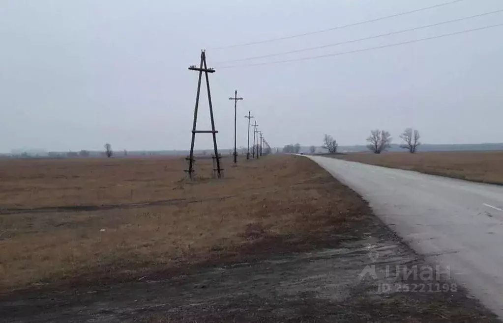 Участок в Волгоградская область, Иловлинский район, Трехостровская ... - Фото 0