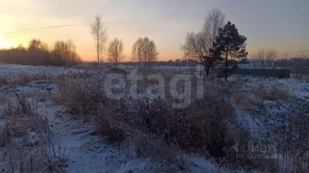 Участок в Томская область, Томский район, с. Корнилово ул. Ключевая ... - Фото 2