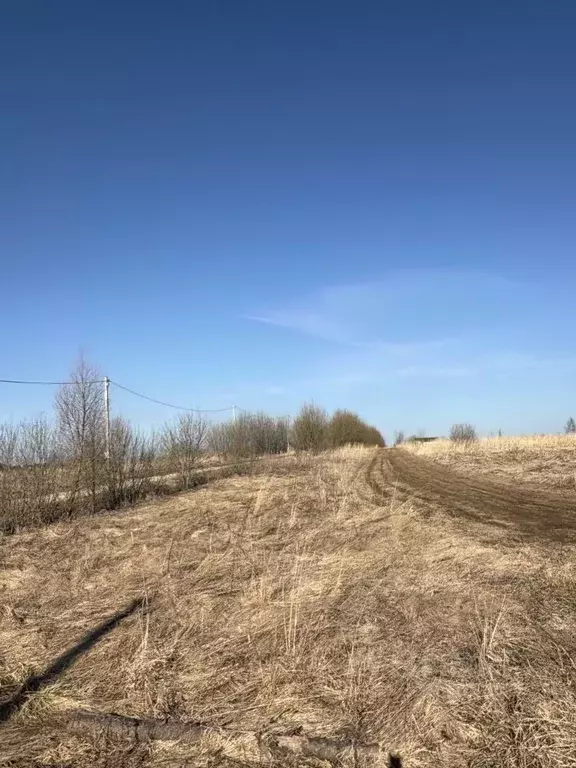 Участок в Новгородская область, Новгородский муниципальный район, ... - Фото 2