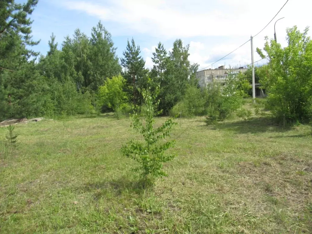 Участок в Рязанская область, Спас-Клепики г. Клепиковский ... - Фото 1