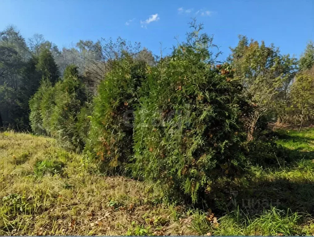 Участок в Ярославская область, Ярославский муниципальный округ, д. ... - Фото 2