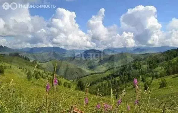 Участок в Солонешенский район, посёлок Тог-Алтай, Трактовая улица (15 ... - Фото 1