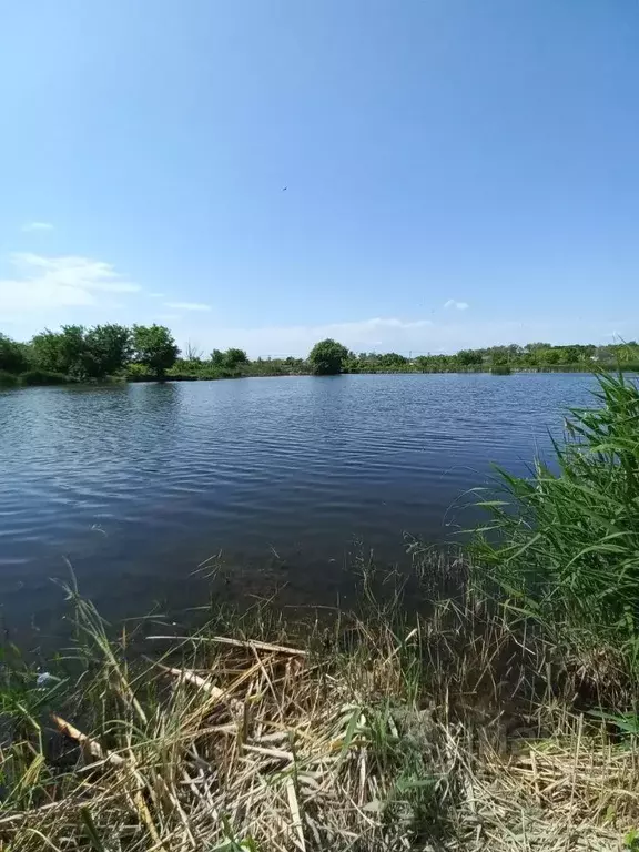 Участок в Саратовская область, Саратов ул. Воробьевская (6.0 сот.) - Фото 1
