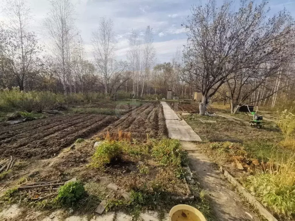 Дом в Хабаровский край, Хабаровский район, Станкостроитель СНТ  (12 м) - Фото 2