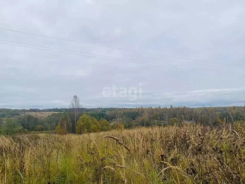 Участок в Смоленская область, Смоленский муниципальный округ, д. ... - Фото 1