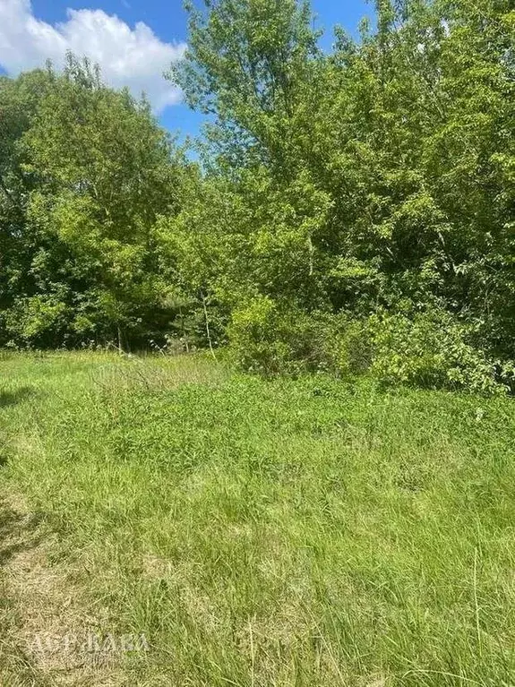 Участок в Белгородская область, Старооскольский городской округ, с. ... - Фото 2
