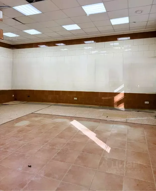 Помещение свободного назначения в Новосибирская область, Новосибирск ... - Фото 2