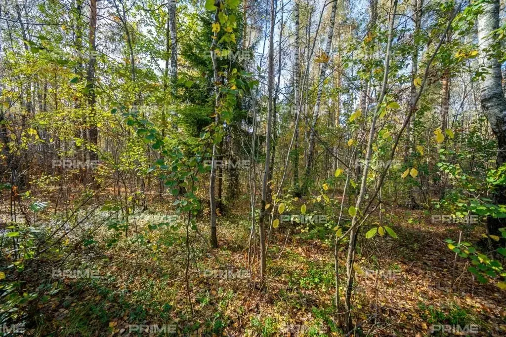 Участок в Московская область, Одинцовский городской округ, с. ... - Фото 1