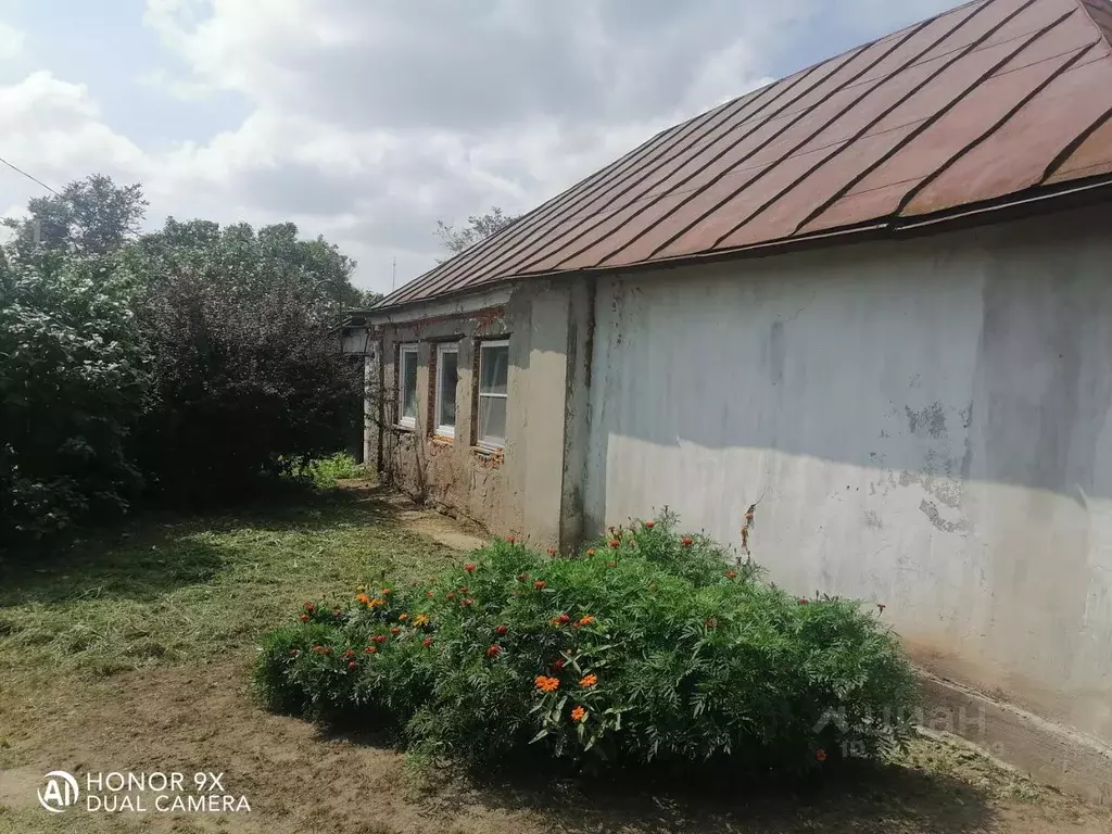 Дом в Липецкая область, Добровский муниципальный округ, с. Борисовка  ... - Фото 0