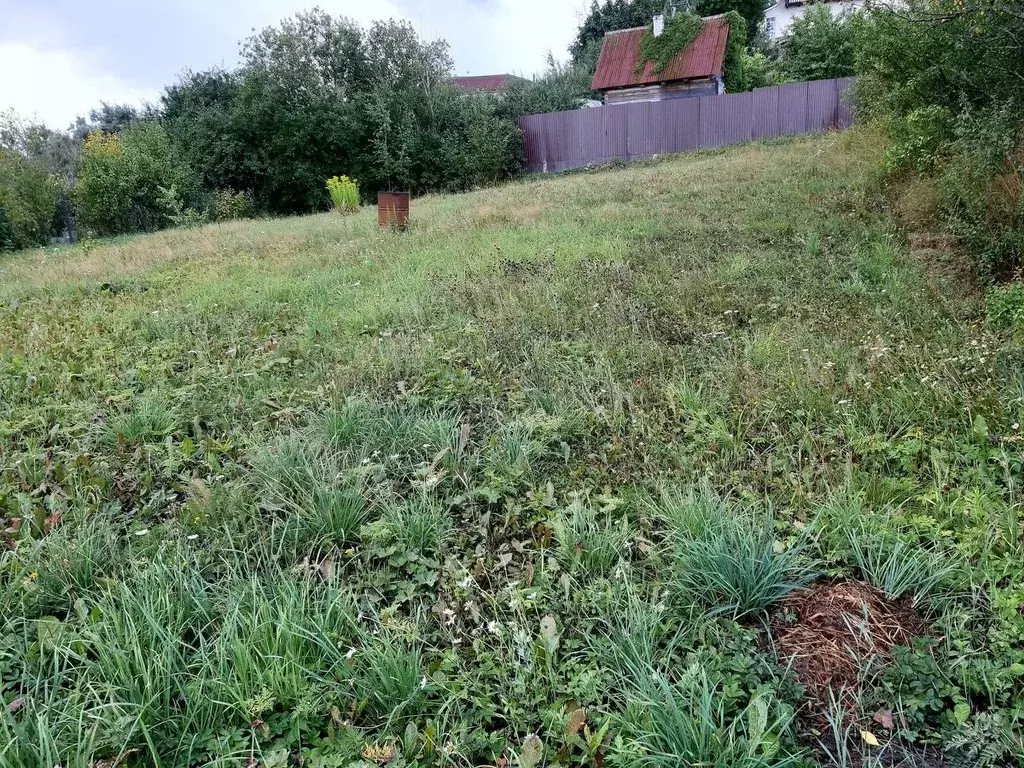 Участок в Санкт-Петербург, Санкт-Петербург, Ломоносов Отрада СНТ, 56 ... - Фото 1