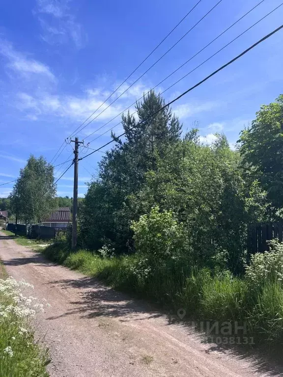 Участок в Ленинградская область, Выборгский район, Советское городское ... - Фото 1