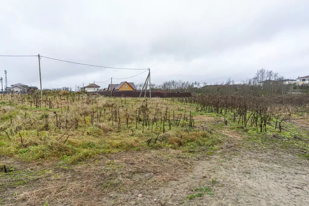 Участок в Ленинградская область, Тосненский район, Федоровское ... - Фото 1