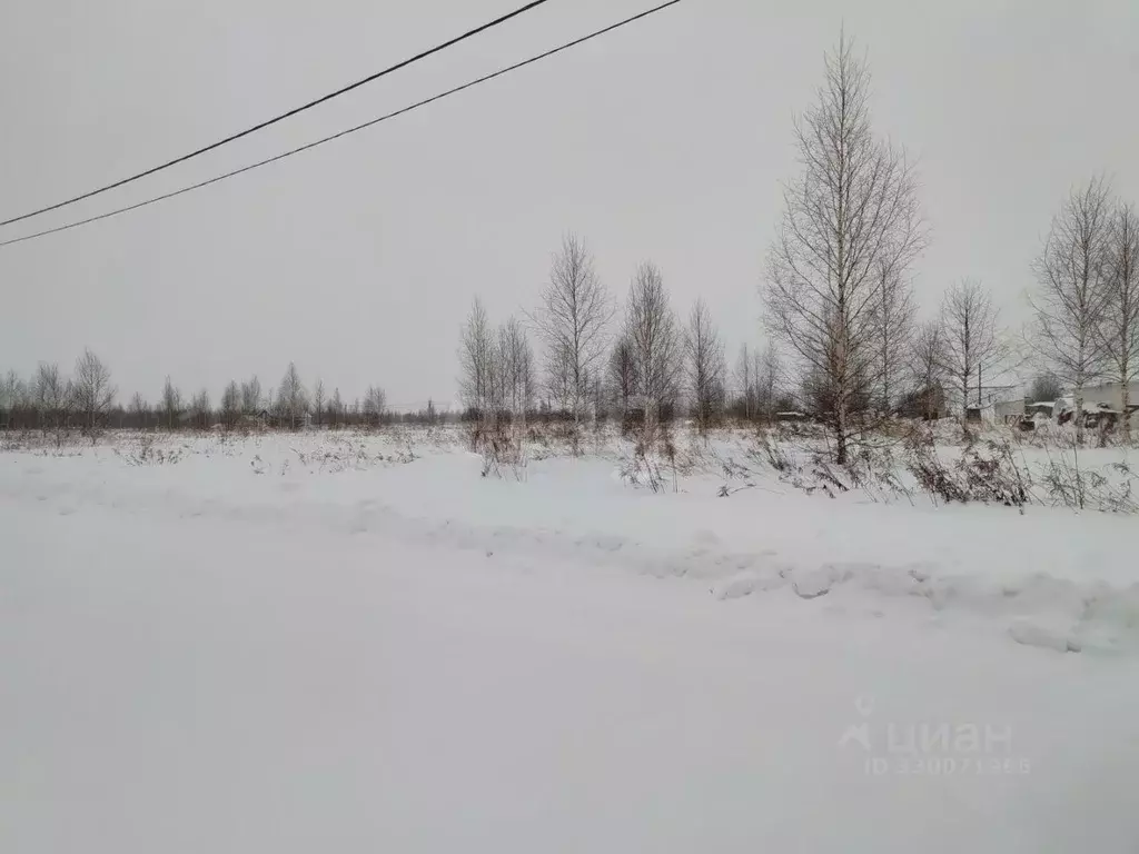 Участок в Марий Эл, Йошкар-Ола городской округ, д. Шоя-Кузнецово ул. ... - Фото 1