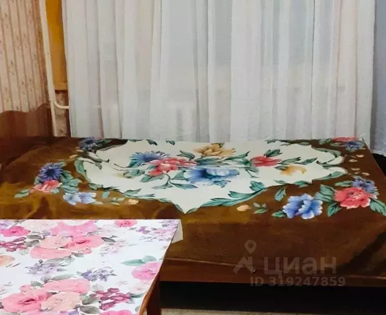 Студия Краснодарский край, Сочи городской округ, с. Орел-Изумруд ул. ... - Фото 0