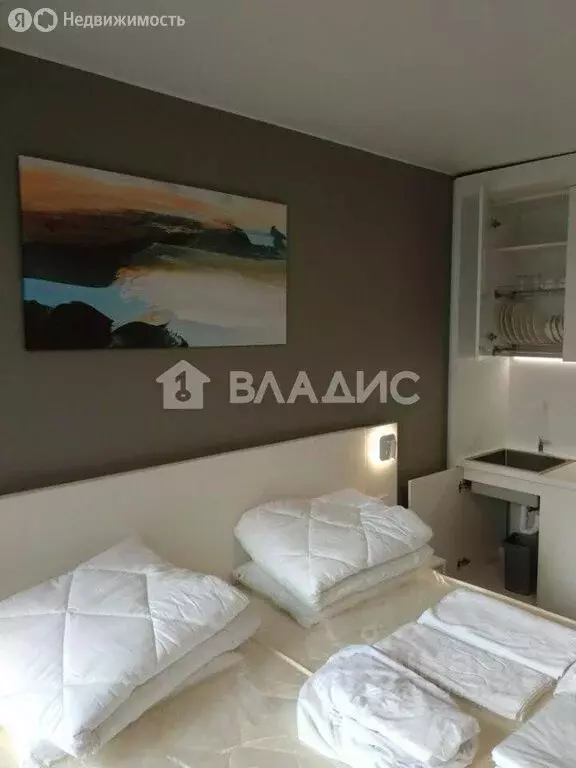 Квартира-студия: Санкт-Петербург, улица Салова, 61 (24.4 м) - Фото 1