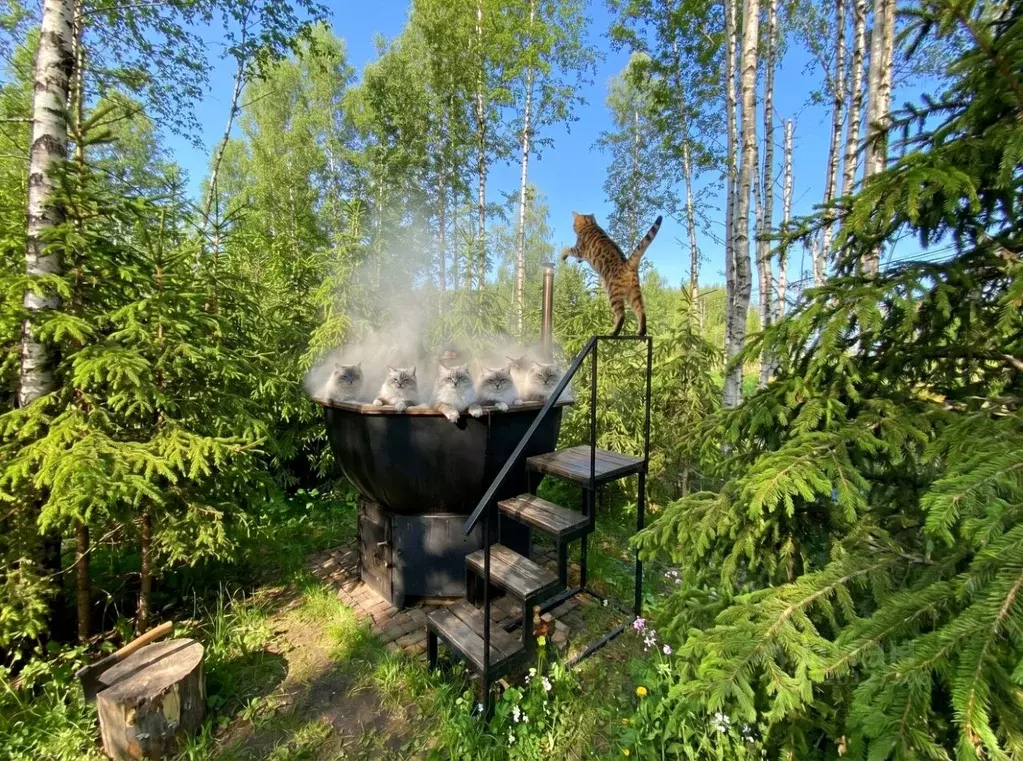 Дом в Московская область, Клин городской округ, ДНП Радости Парк 1 ... - Фото 1