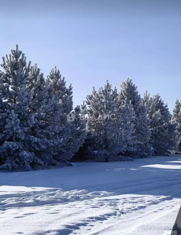 Участок в Иркутская область, Иркутский муниципальный округ, д. Карлук  ... - Фото 2