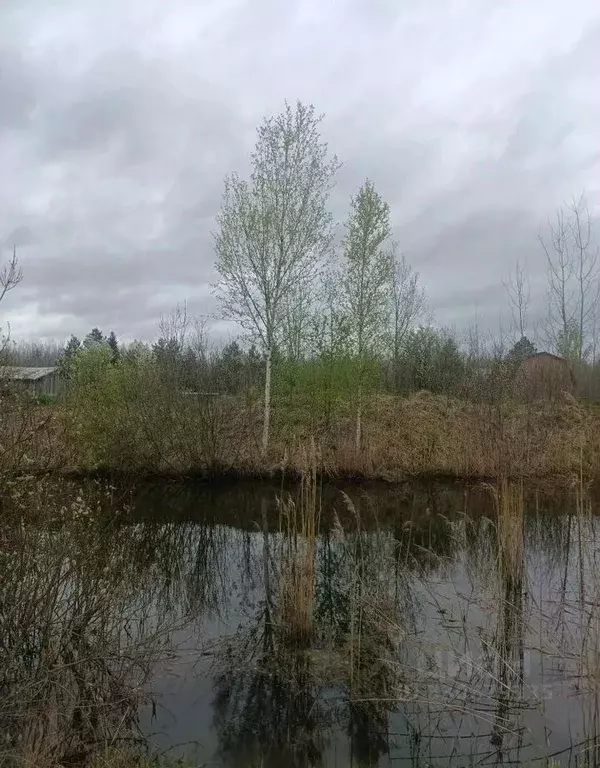 Дом в Новгородская область, Новгородский муниципальный район, ... - Фото 1