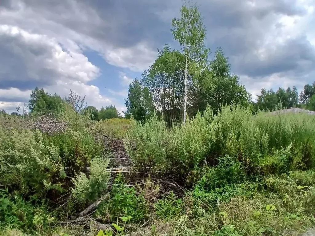 Участок в Московская область, Клин городской округ, д. Малеевка  (15.6 ... - Фото 1