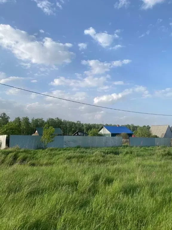 Участок в Омская область, Кормиловский район, Сыропятское ст. ... - Фото 1