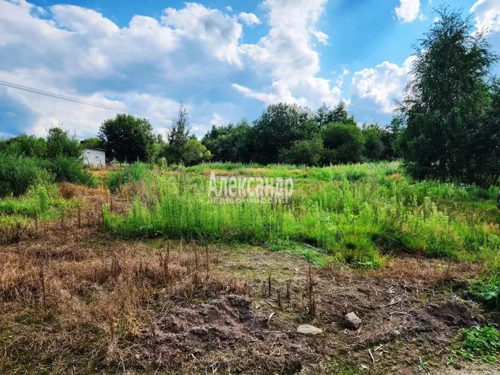 Участок в Ленинградская область, Приозерский район, Раздольевское ... - Фото 1