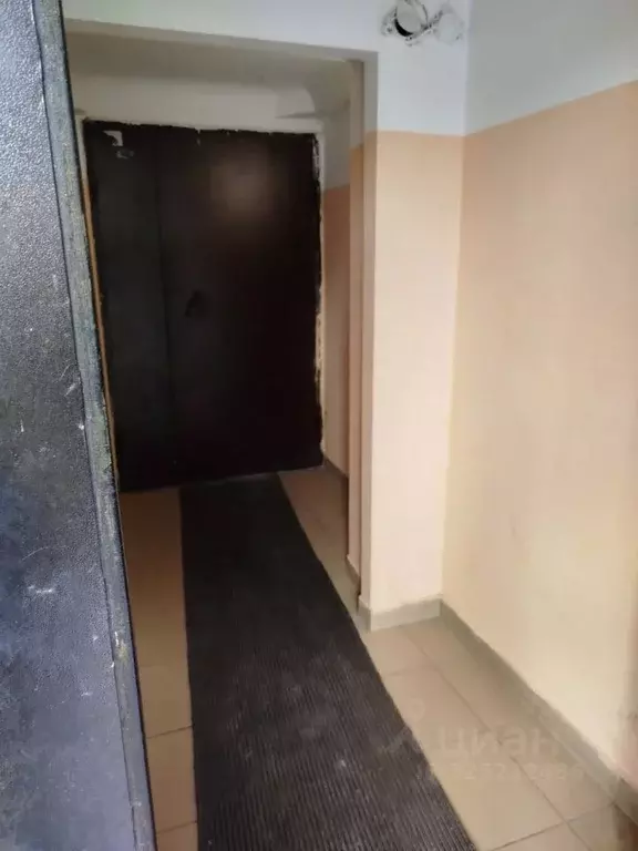 Свободной планировки кв. Новосибирская область, Новосибирск ул. В. ... - Фото 1