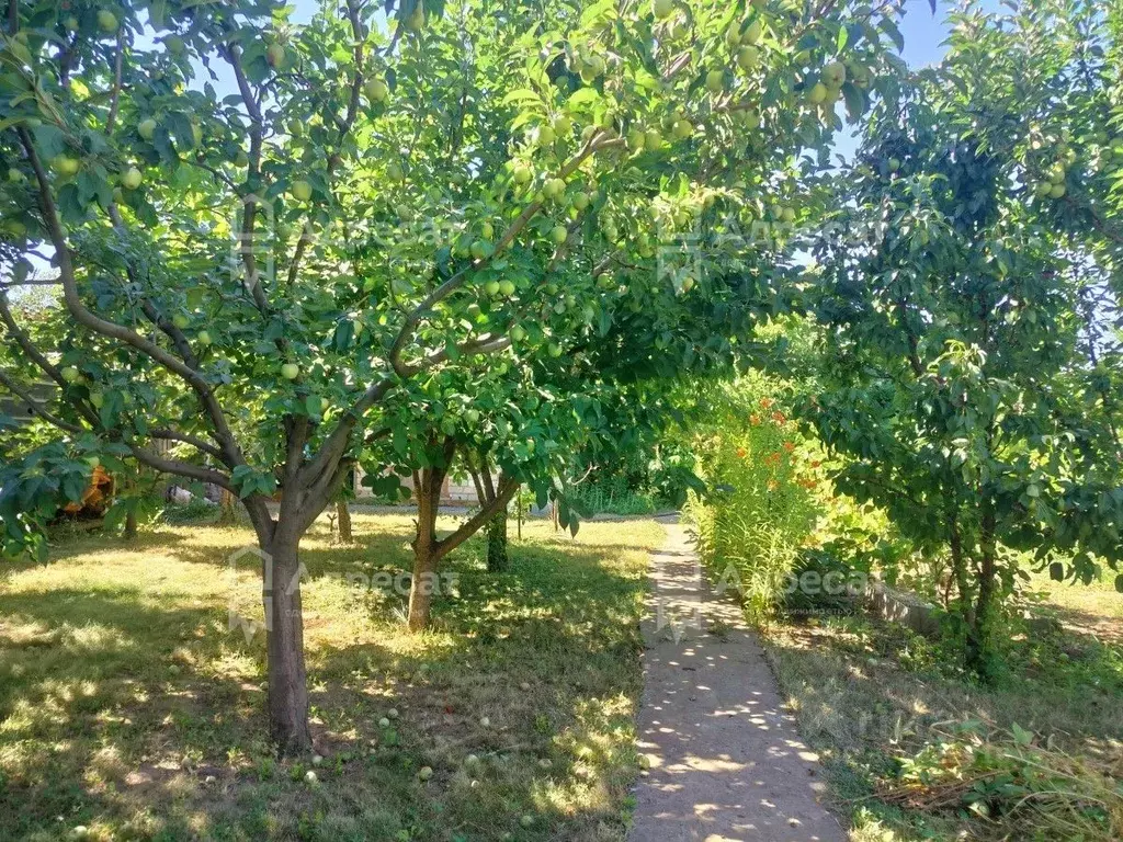 Дом в Волгоградская область, Волжский Досуг СНТ, ул. Каштановая (58 м) - Фото 0