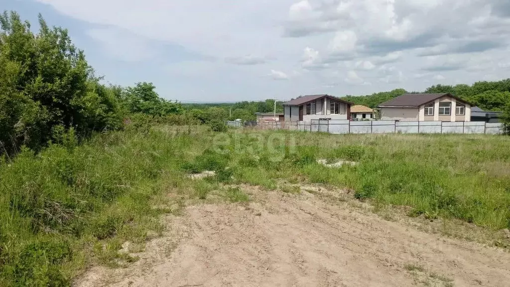 Участок в Хабаровский край, Хабаровский район, Мичуринское с/пос, ... - Фото 2
