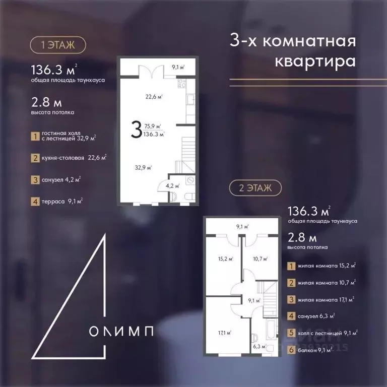 Таунхаус в Липецкая область, Липецкий муниципальный округ, с. Ситовка, ... - Фото 2